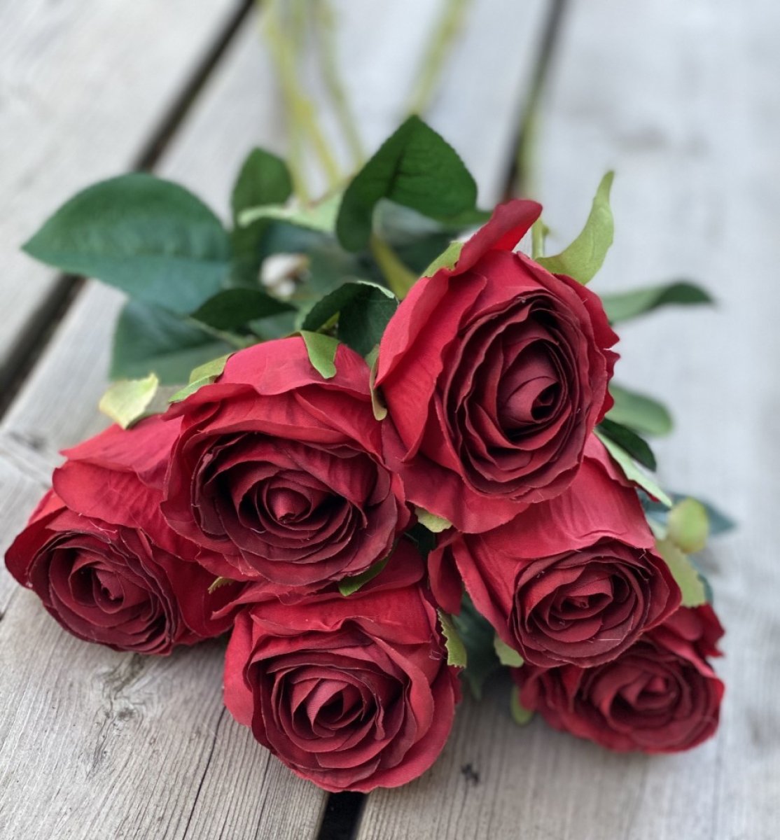 Röd ros mörk röd med gröna blad
