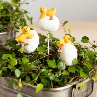 Ägg med söta gula kycklingar att dekorera med. Finns i tre olika modeller -Kyckling på sidan av ägget -Kyckling bakom ägget -Kyc