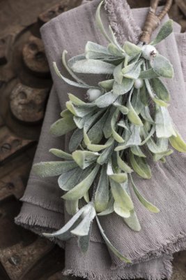 Mistel frost med gröna blad och vita bär. Vacker vinter modell med lätt frostad pudersnö. I liten bukett modell med snöre så man