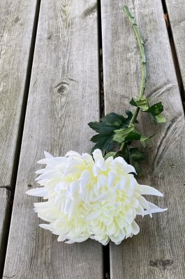 Vacker vit krysantemum brun med gröna blad. Lång stjälk och fyllig blomma. Välarbetad och verklighetstrogen konstgjord blomma.