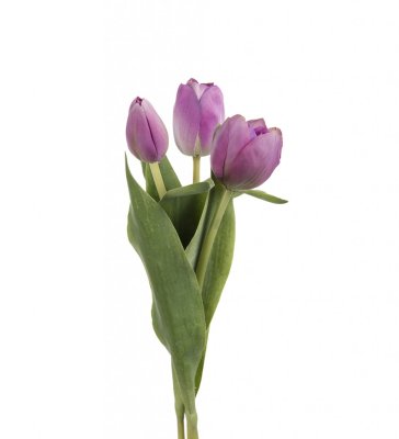 Vacker lila tulpan med krispig verklighets känsla och gröna blad. Levande modell som passar lika bra ensam i en vas som tillsamm