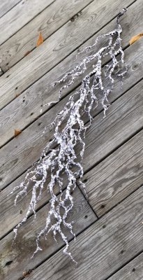 Vinter kvist med puder snö. Vacker hängande modell med flera grenar. Att hänga och dekorera med eller lägga på bordet vid en duk