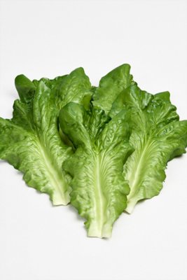 Verklighetstrogna gröna salladsblad i pack om 6st blad. Att dekorera med ger en färgklick i köket tillsammans med några tomater