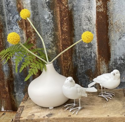 Gul Craspedia Solblomma i konstgjord modell. Lika vacker ensam i en vas som tillsammans med andra blommor i en bukett eller arra
