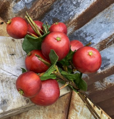 Stor fyllig gren / kvist med flera röda äpplen och gröna blad.  Konstgjord modell med hög verklighetstrogen känsla. Att dekorera
