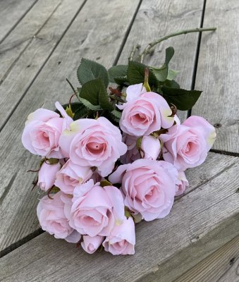 Vacker rosa ros buskros i bukett modell. Med flera blommor och gröna blad. Lika vacker att ha ensam i en vas eller flera tillsam
