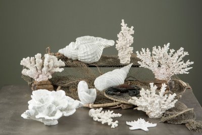Stående vit korall till dekoration. I livfull detaljrik modell på en liten fot. Finns i två storlekar -Större -Mindre Lika fina
