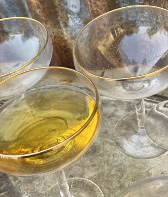 Vackert prosecco/ cocktail/ champagneglas på fot . Med hög fot och vid kupa. Dekorerad med en guld kant upptill och livfulla luf