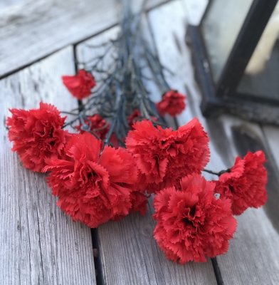Vacker röd nejlika med lång stjälk och flera blommor. Verklighetstrogen välarbetad konstgjord blomma. Lika vacker och passade en