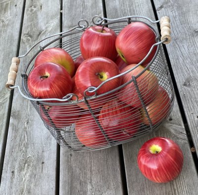 Ljusrött Äpplen att pynta och dekorera med. Välarbetade konstgjorda med verklighetstrogen känsla. Att fylla en frukt skål med el