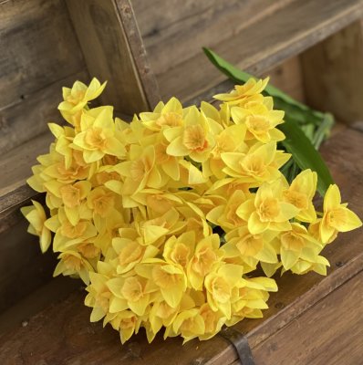 Vår vacker bukett med gula Narciss / påskliljor. I modell som gör sig fint i en vas , i en bukett/arrangemang ensam eller tillsa