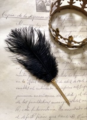 Vacker och elegant strutsfjäderpenna med svart fjäder och guldfärgad penna. Dekorerad med en  kungakrona  mellan fjäder och penn