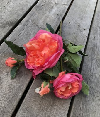 Rosa rosen kvist av Cabbage ros. Med flera grenar rosor och gröna blad. Välarbetad och verklighetstrogen konstgjord modell. Går