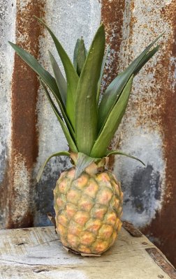 Ananas konstgjord exotisk frukt i vacker verklighetstrogen modell. Att dekorera med ensam eller i ett fruktfat med andra konstfr