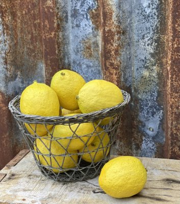 Gul mindre konstgjord citron med att pynta och dekorera med. Välarbetade konstgjorda med lätt känsla. Att fylla en frukt skål me