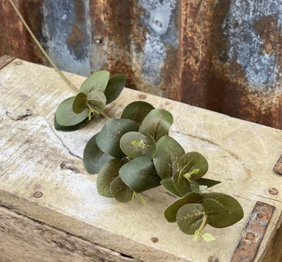 Eucalyptus kvist/gren i grön modell.  Konstgjord med verklighetskänsla. Att dekorera med ensam eller tillsammans med andra blomm