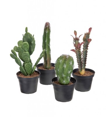 Grön kaktus i kruka. Konstgjord med verklighetskänsla. Finns i fyra olika modeller/form  -Med platta/plättar på stammen -Smal ra