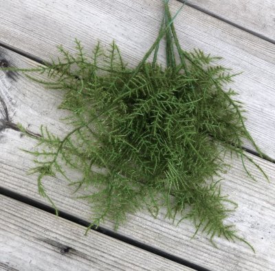 Grön Plumosus kvist att dekorera med. Ha den ensam eller som utfyllnad i en bukett eller i ett arrangemang. Välarbetad konstgjor