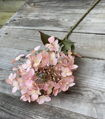 Hortensia i mjuk rosa  nyans och gröna blad. Välarbetad och verklighetstrogen konstblomma. I kvist/gren modell om en blomma omgi
