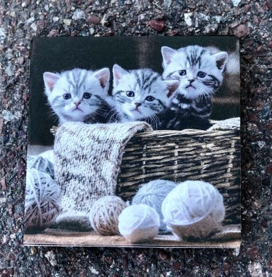 Vackra servetter med sött lantligt motiv av kattungar . Servetterna går i gråa och bruna nyanser och motivet är i levande foto m