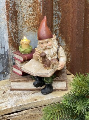 Tomte som läser med belysning