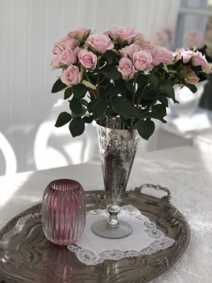 Rosa ros busk ros i bukett modell. Med flera blommor och gröna blad. Lika vacker att ha ensam i en vas eller flera tillsammans i