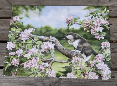 Bordstablett med vackert och natur troget motiv av en katt unge ibland äppelblommor i ett äppelträd  äppelblomskatt.  Bordstable