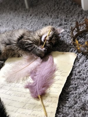 Vacker och elegant strutsfjäderpenna med Lila/Rosa fjäder och guldfärgad penna. Dekorerad med en  kungakrona  mellan fjäder och
