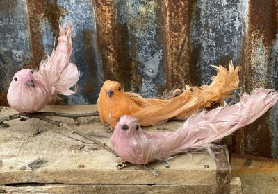 Vacker stor fågel i mjuka färger med fjäder skrud att dekorera med. Finns i tre olika nyanser -Aprikos -Rosa -Rosa/Lila Varje få