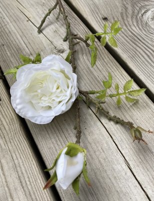 Vacker och romantisk vit rosen gren /kvist med en utslagen ros och två knoppar . Dekorerad med små ljusgröna blad. Välarbetad oc