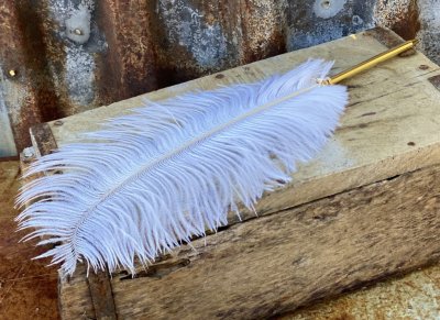 Vacker och elegant strutsfjäderpenna med vit fjäder och guldfärgad penna. Dekorerad med en  kungakrona  mellan fjäder och penna.