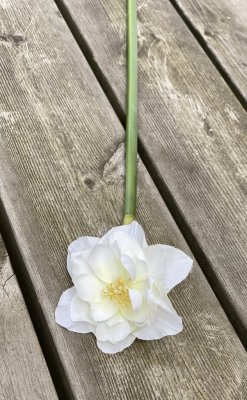 Vacker vit lilja pingstlilja med lång skälk och utslagen blomma. Verklighetstrogen välarbetad konstblomma. Lika vacker ensam i e