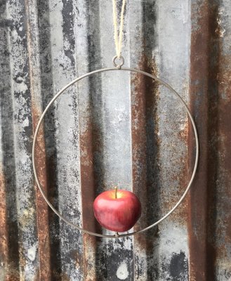 Fågelmatare ring i zink för tex äpplen eller talgboll.  Ringen är rund med ögla upptill att sätta kedja eller snöre i. Pinne inu