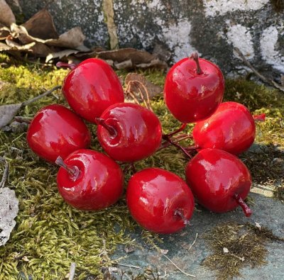 Rött äpple på stick / ståltråd. I pack om 4st äpplen som sitter ihop i en bukett men kan tas isär och dekorerar med var för sig.