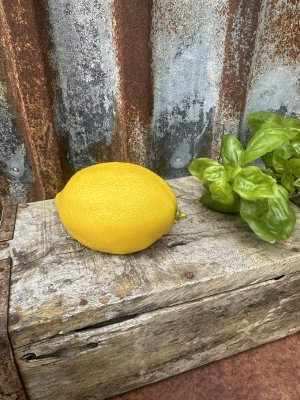 Citron i större konstgjord modell