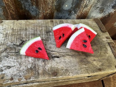 Vattenmelon skiva / bit i konstgjord modell 