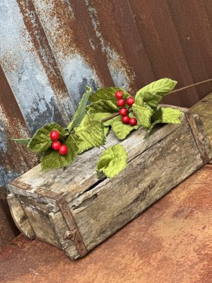 Järnek med sammets gröna blad glitter och röda bär