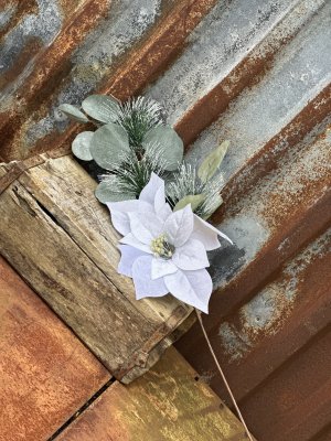 Kvist med vit julstjärna eukalyptus och vinter tall