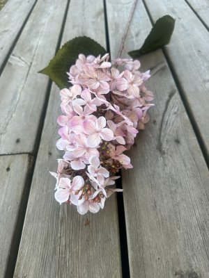 Höst rosa Hortensia i större modell 