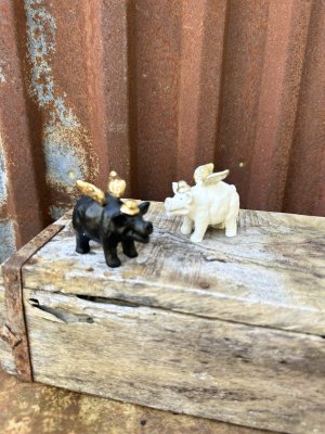 Gris med vingar i svart och vitt