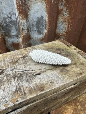 Vit kotte på snöre att dekorera med