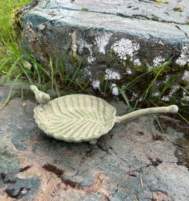 Fågelbad skål med fågel i antik grönt