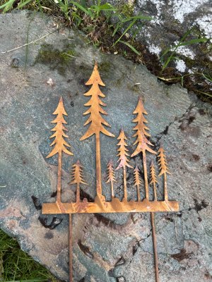 Rostiga bruna granar / skog på stick / pinne