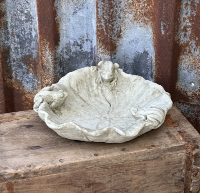 Vacker fågelbad löv med grodor