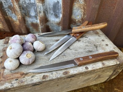 Kött kniv med handtag i acacia trä 4-pack