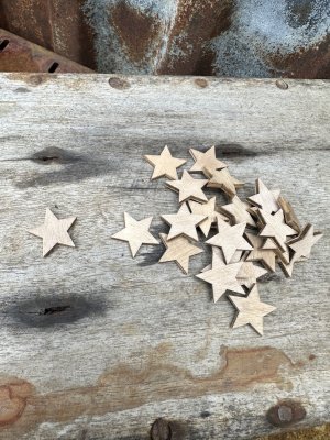 Påse med bruna natur stjärnor