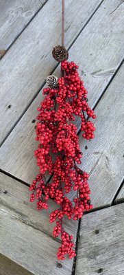 Stor gren med kottar och röda bär