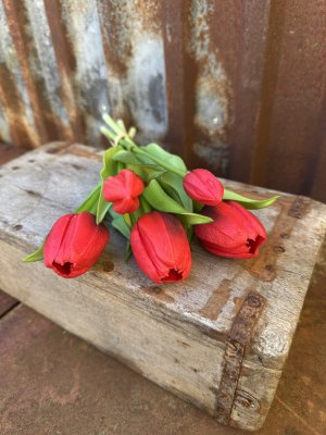 Bukett med röda tulpaner med gröna blad