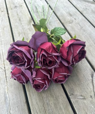 Lila ros med gröna blad