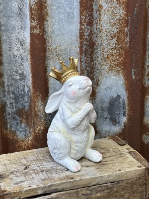 Vit kanin med krona i guld